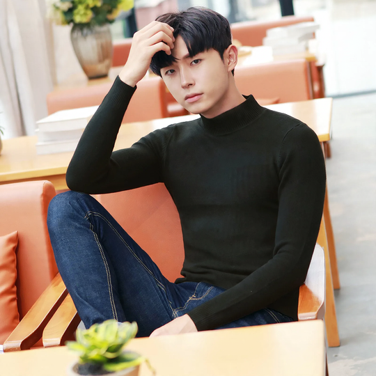 Herren-Rollkragenpullover, gefüttert, warm