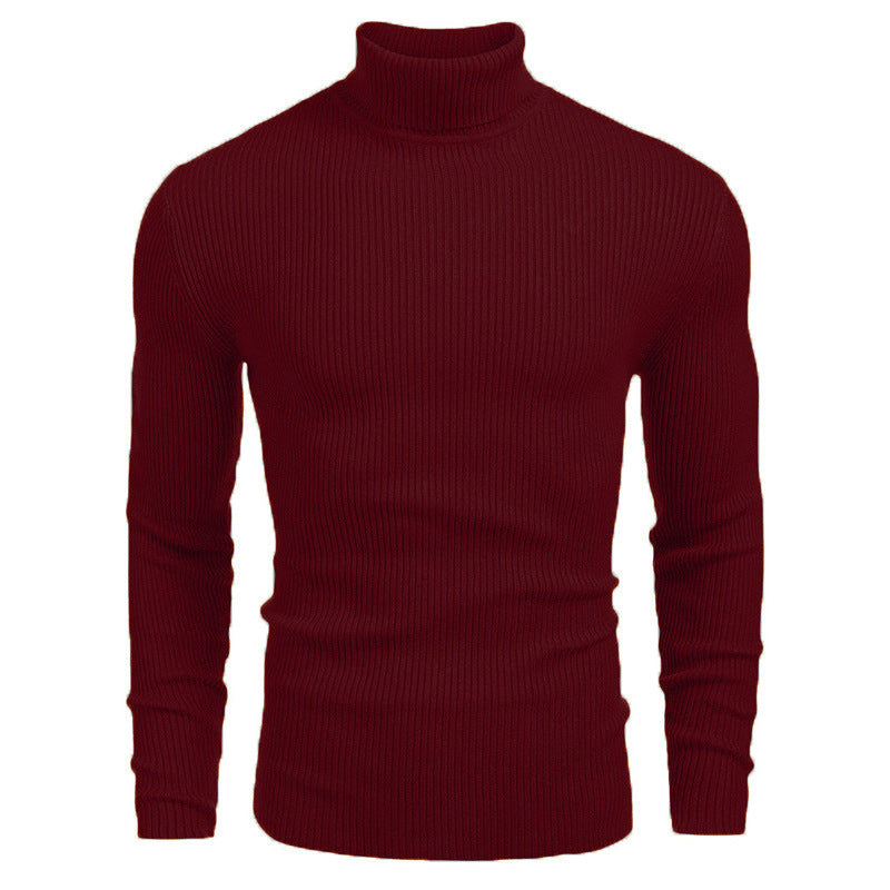 Herren-Rollkragenpullover, Langarm, Strick