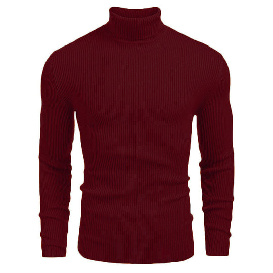Herren-Rollkragenpullover, Langarm, Strick