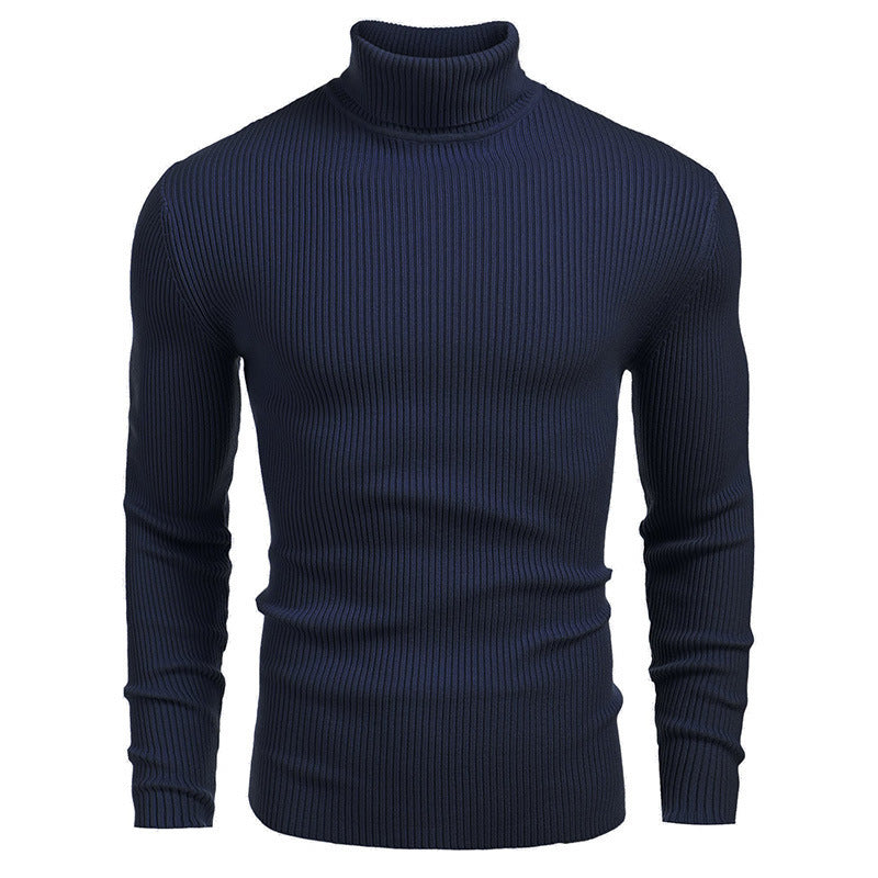 Herren-Rollkragenpullover, Langarm, Strick