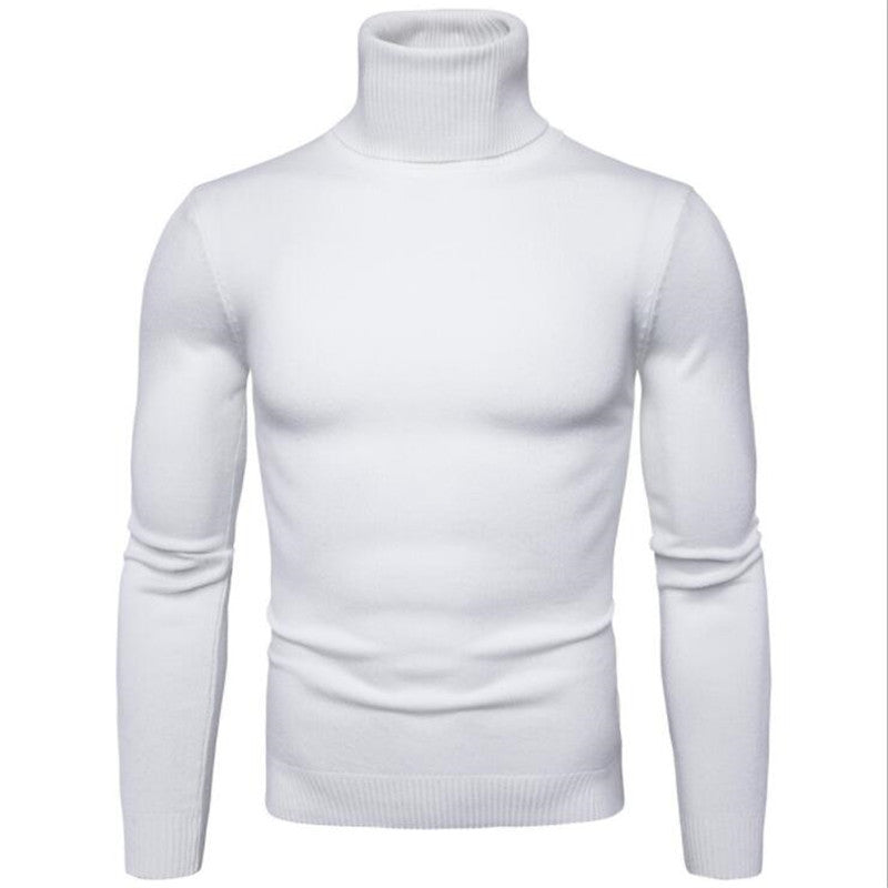 Herren-Rollkragenpullover, schlicht und modern
