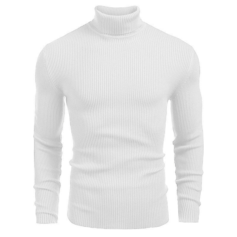 Herren-Rollkragenpullover, Langarm, Strick