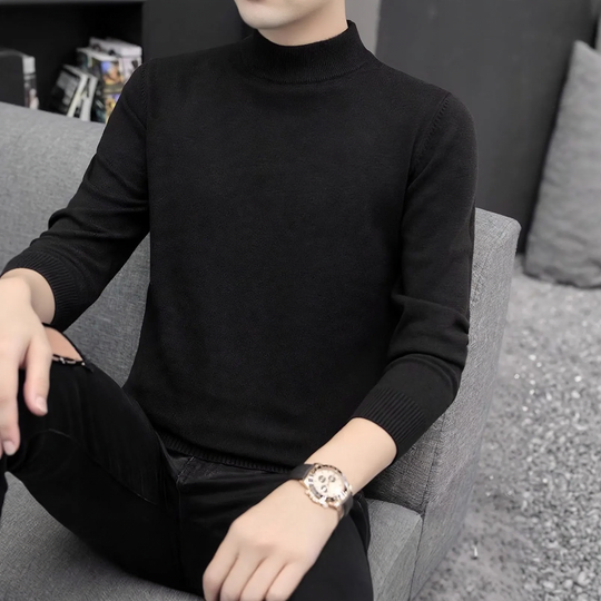 Herren-Pullover mit Stehkragen, einfarbig