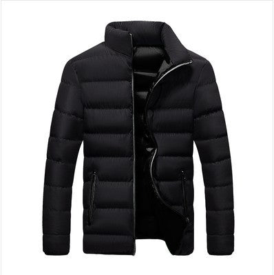 Herren-Steppjacke, Stehkragen, gefüttert, für Freizeit