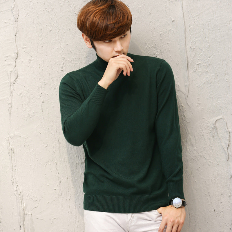 Herren Wollpullover mit Rollkragen