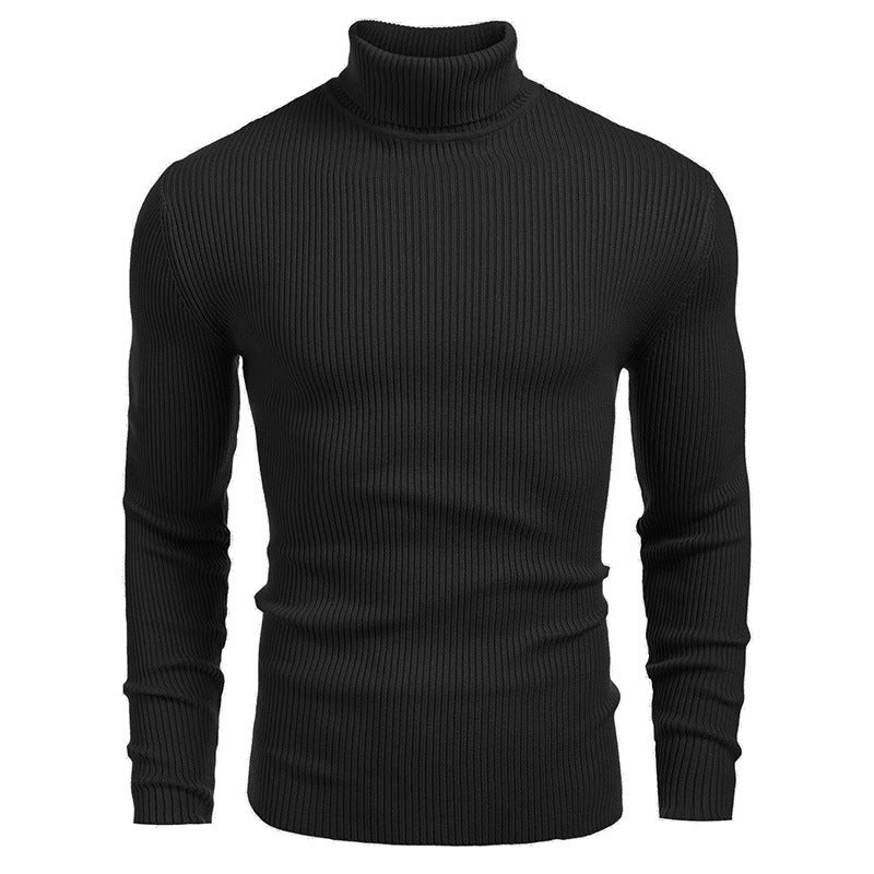 Herren-Rollkragenpullover, Langarm, Strick