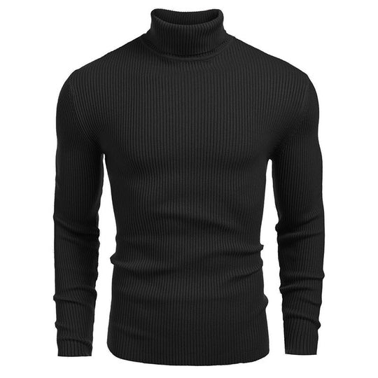 Herren-Rollkragenpullover, Langarm, Strick
