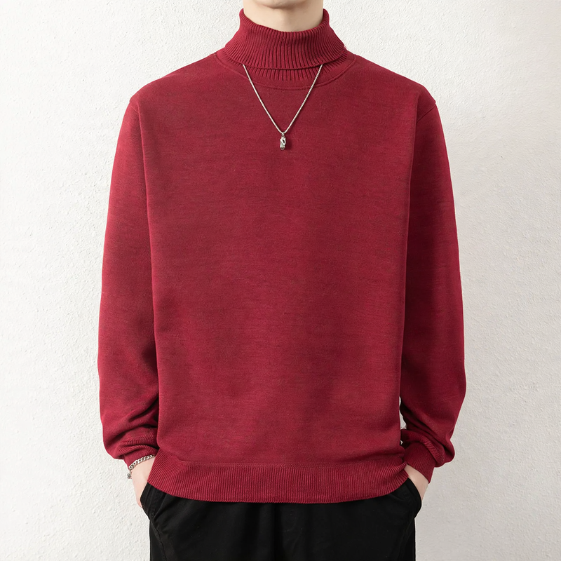 Herren-Rollkragenpullover, gefüttert, Winter