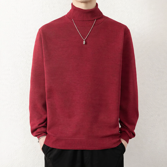 Herren-Rollkragenpullover, gefüttert, Winter