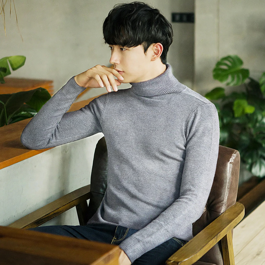 Herren-Rollkragenpullover, gefüttert, warm