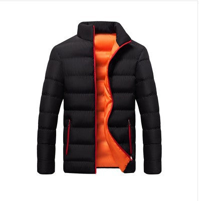 Herren-Steppjacke, Stehkragen, gefüttert, für Freizeit