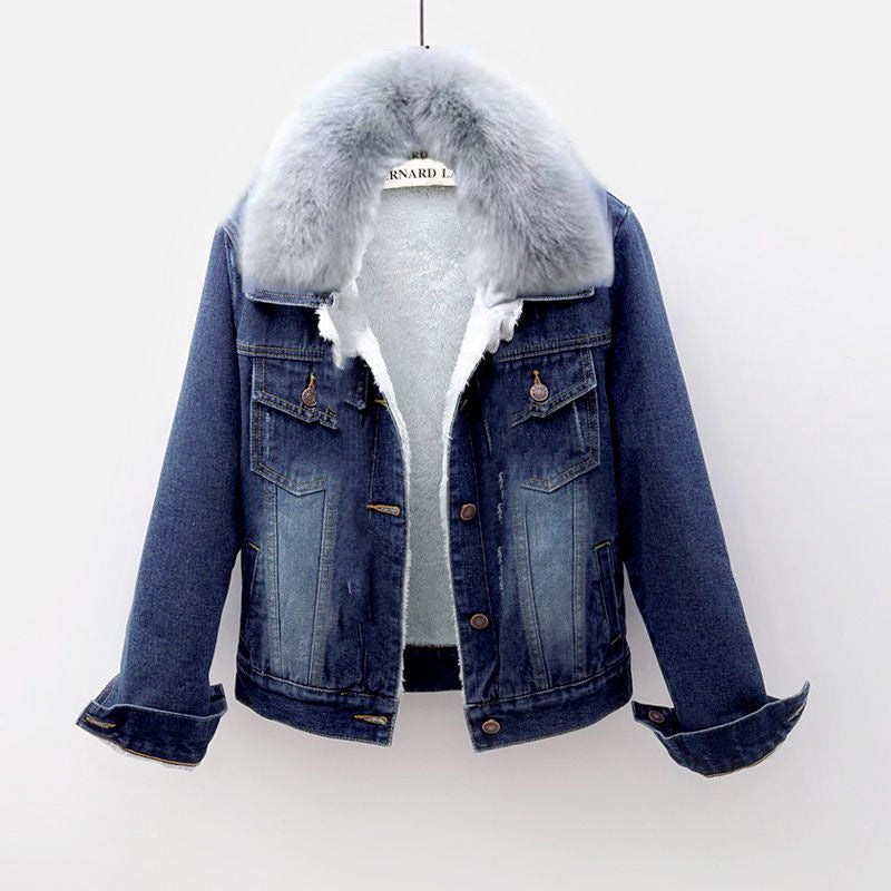 Gefütterte Jeansjacke mit großem Fellkragen