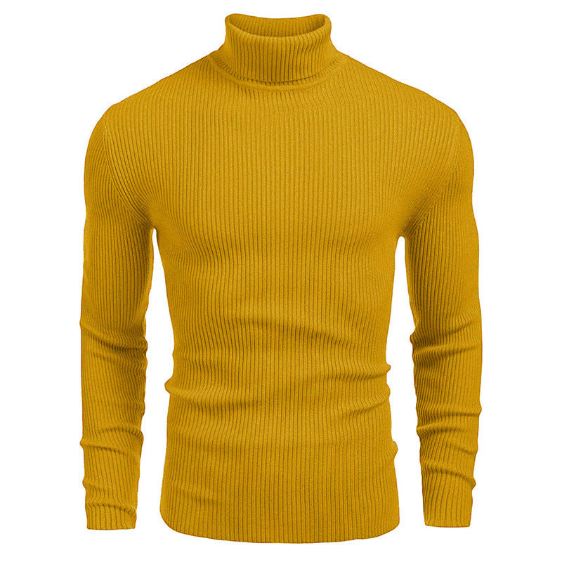 Herren-Rollkragenpullover, Langarm, Strick