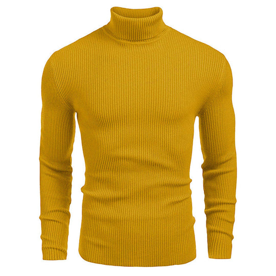 Herren-Rollkragenpullover, Langarm, Strick