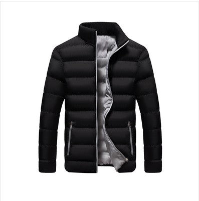 Herren-Steppjacke, Stehkragen, gefüttert, für Freizeit