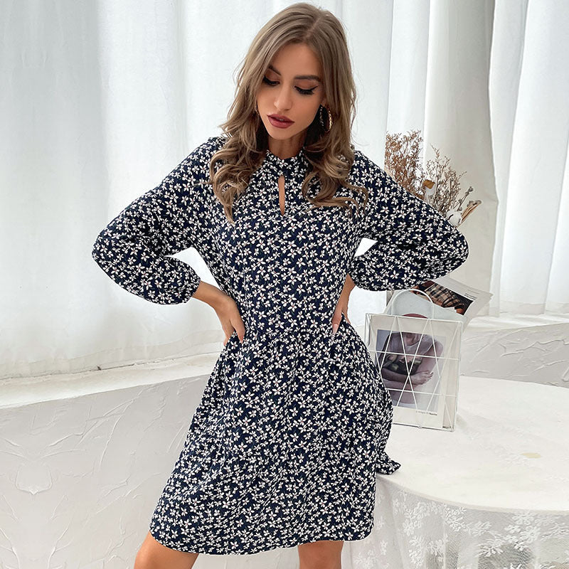 Damen Gestuftes Minikleid mit Stehkragen, Blumenprint und taillierter A‑Linie Nord Taschen