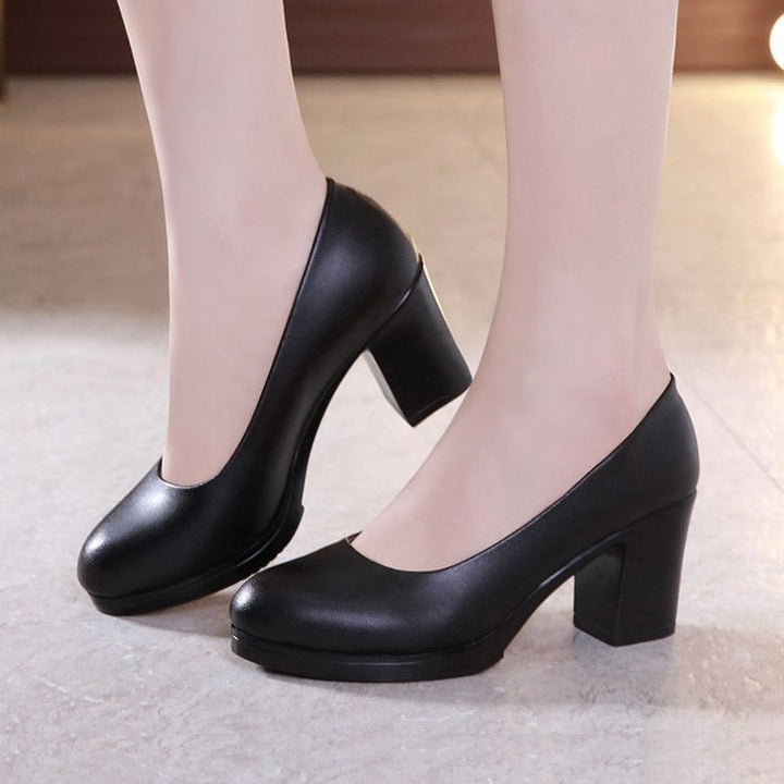 Damen Elegant Design Pumps