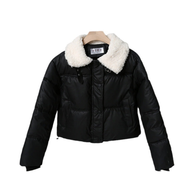 Damen nan kurze gesteppte Winterjacke mit Teddykragen, wattierter Isolierung und verdecktem Druckknopfverschluss Nord Taschen