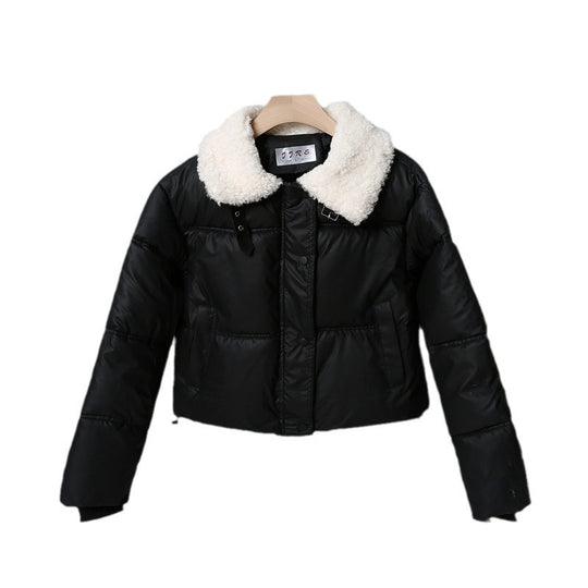 Damen nan kurze gesteppte Winterjacke mit Teddykragen, wattierter Isolierung und verdecktem Druckknopfverschluss Nord Taschen