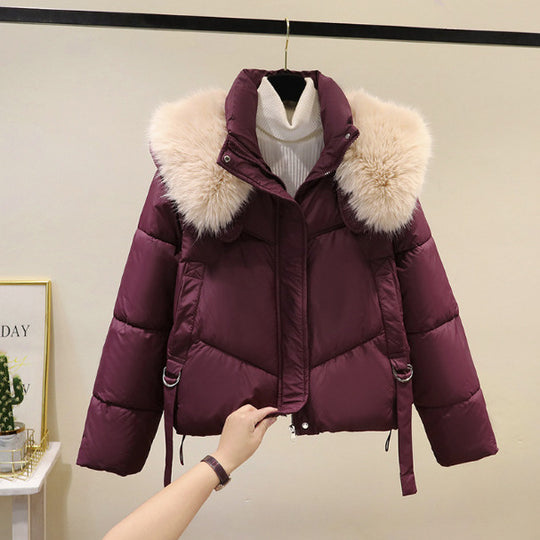 Damen nan kurze Thermo-Pufferjacke mit abnehmbarem Webpelzkragen, hochschließendem Stehkragen und Tunnelzugsaum Nord Taschen