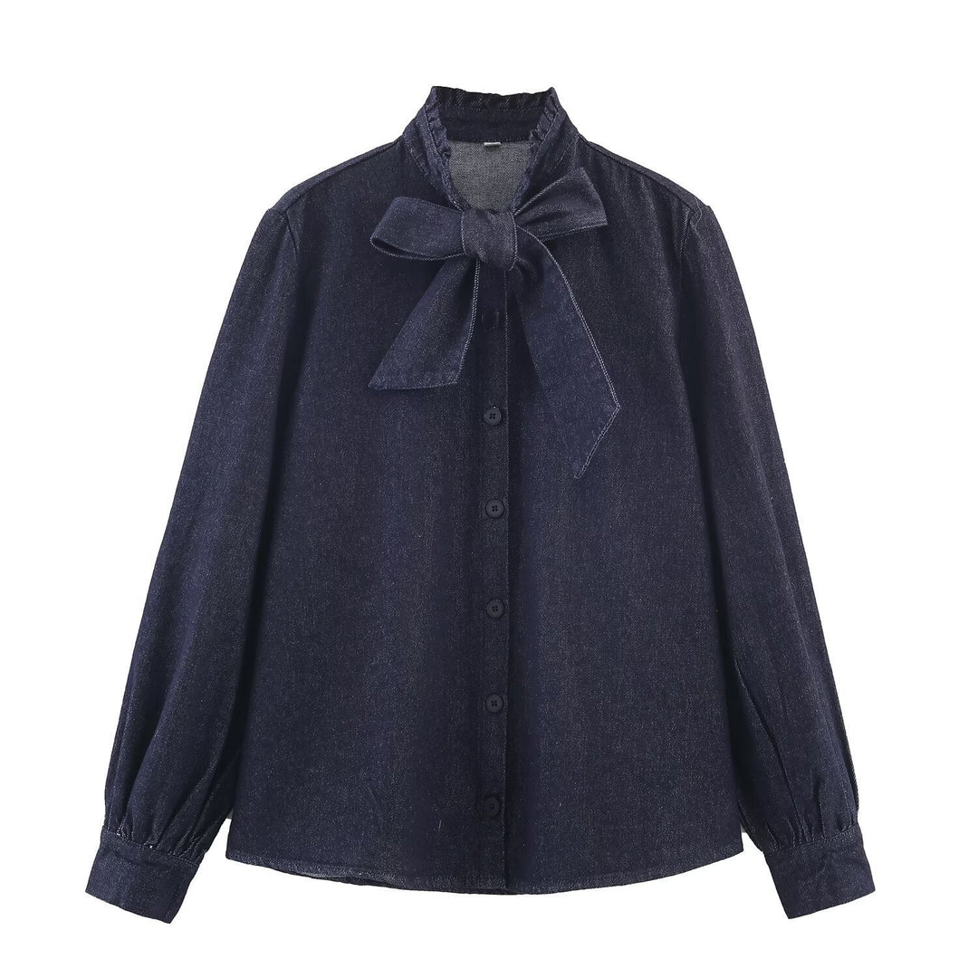 Damen Schimmernde Bluse mit Schleifenkragen und Ballonärmeln Nord Taschen