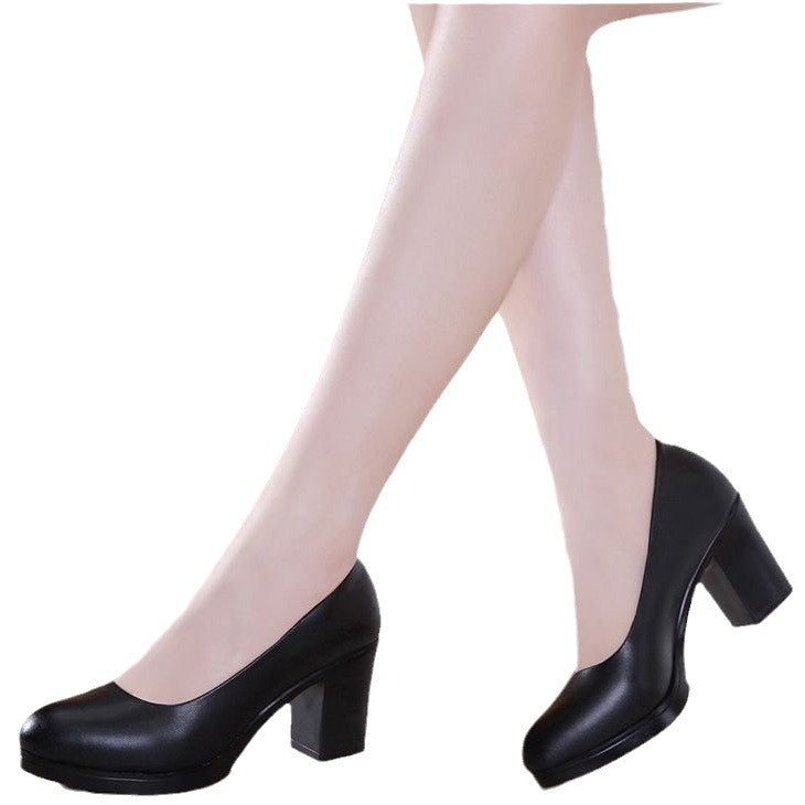 Damen Elegant Design Pumps