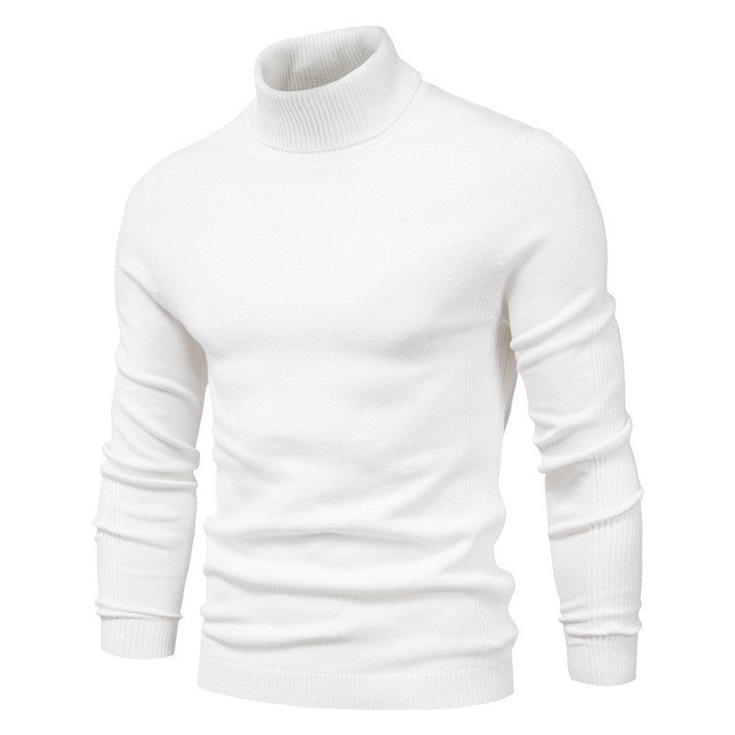 Herren modischer Rollkragenpullover aus feiner Merinowolle