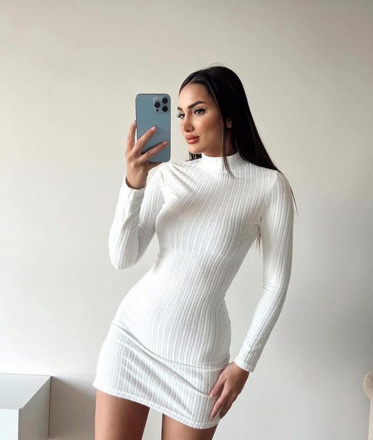 Damen Enganliegendes Rippstrick-Minikleid mit Rollkragen und langen Ärmeln Nord Taschen