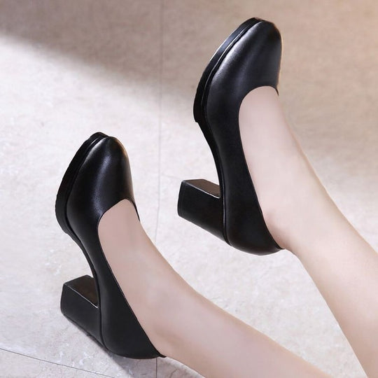 Damen Elegant Design Pumps