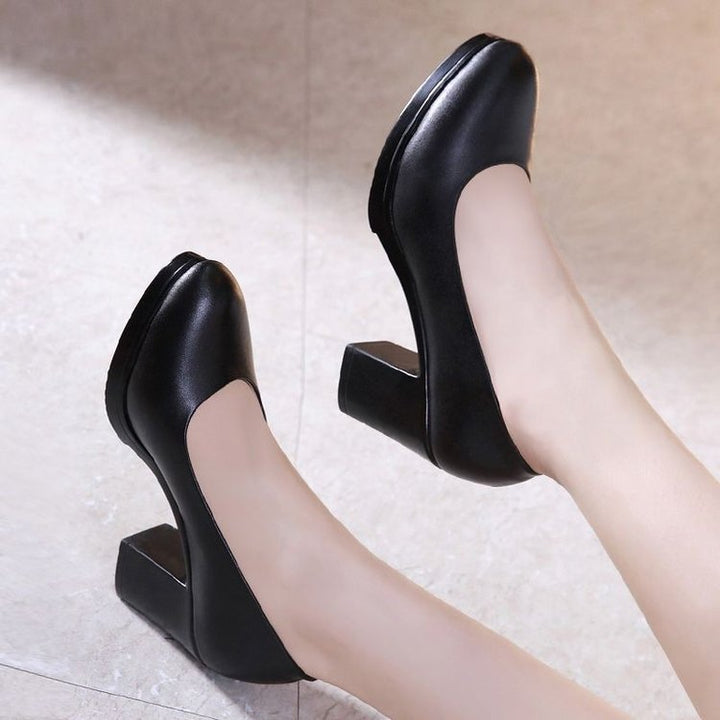 Damen Elegant Design Pumps