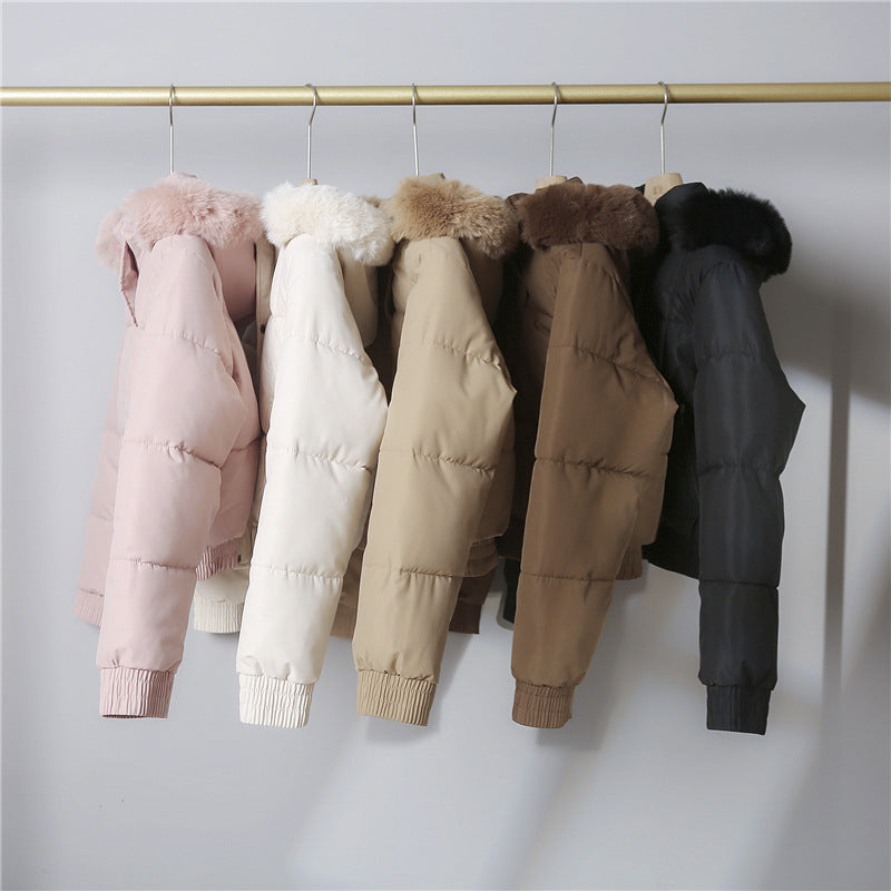 Damen nan kurze gesteppte Bomberjacke mit warmer Kapuze, abnehmbarem Webpelzrand, elastischem Bund und Thermofutter Nord Taschen