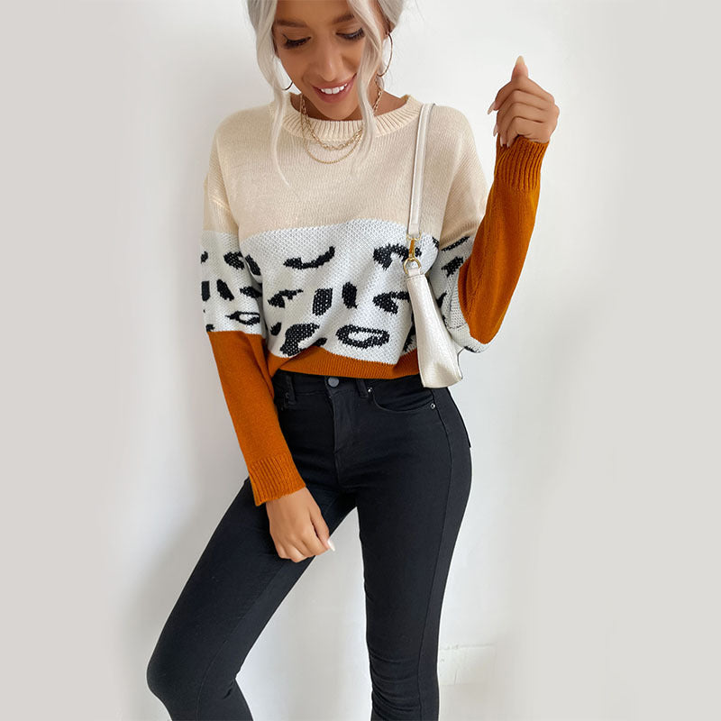 Damen Boxy-Strickpullover im Colorblock-Leopardmix mit Rundhals und gerippten Ärmeln Nord Taschen