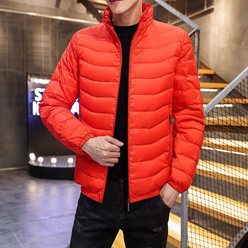 Herren Leichte gesteppte Daunenoptik-Jacke mit Stehkragen Nord Taschen