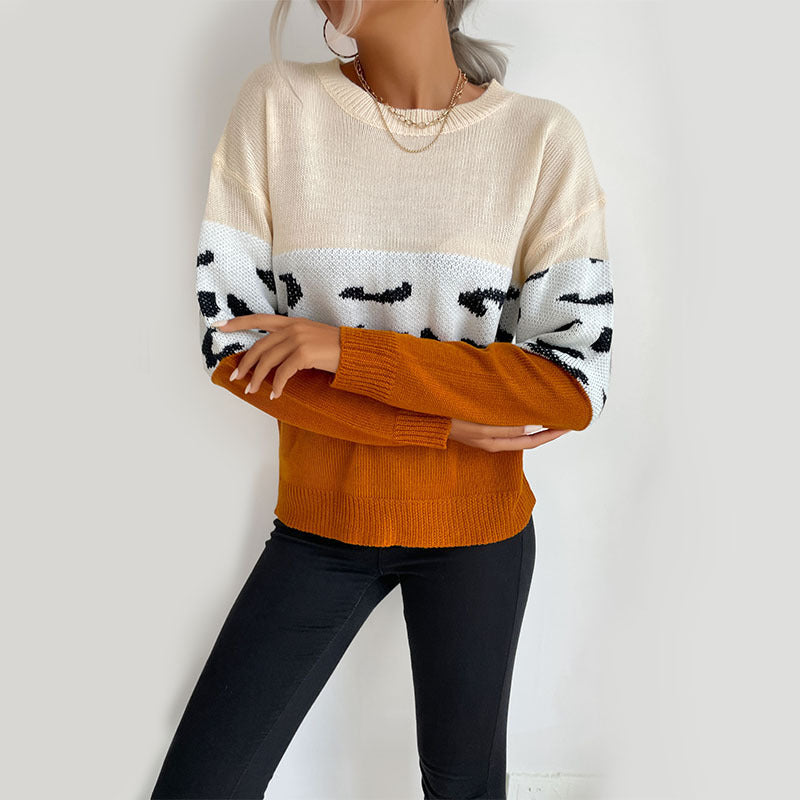 Damen Boxy-Strickpullover im Colorblock-Leopardmix mit Rundhals und gerippten Ärmeln Nord Taschen