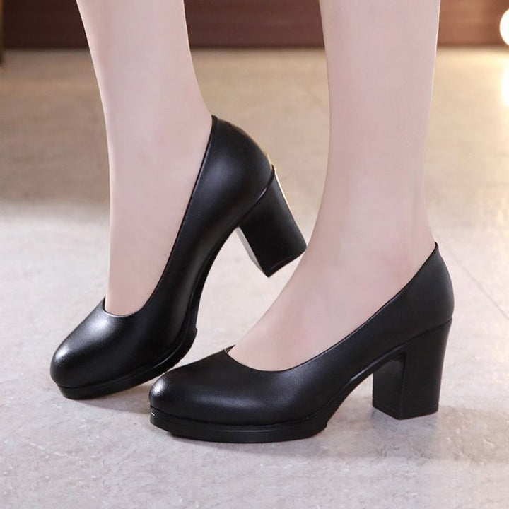Damen Elegant Design Pumps