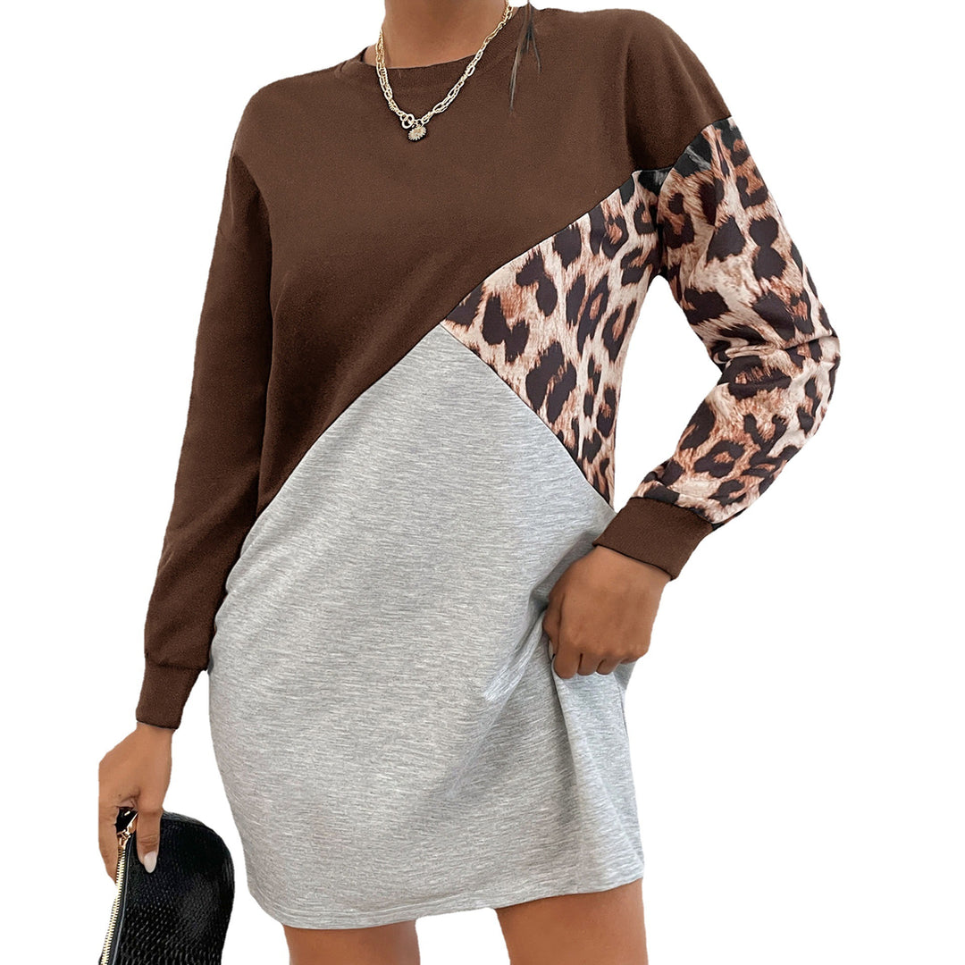 Damen Oversize-Sweatkleid mit Colorblock-Design und Leopardenärmeln Nord Taschen