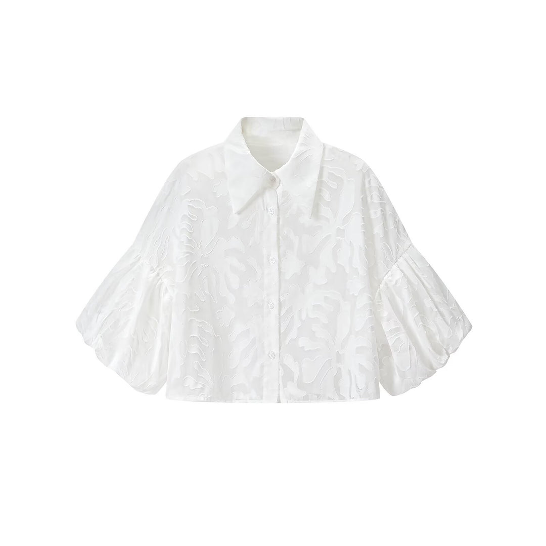 Damen Transparente Organza-Bluse mit weitem Schnitt, Volumenärmeln und Hemdkragen Nord Taschen