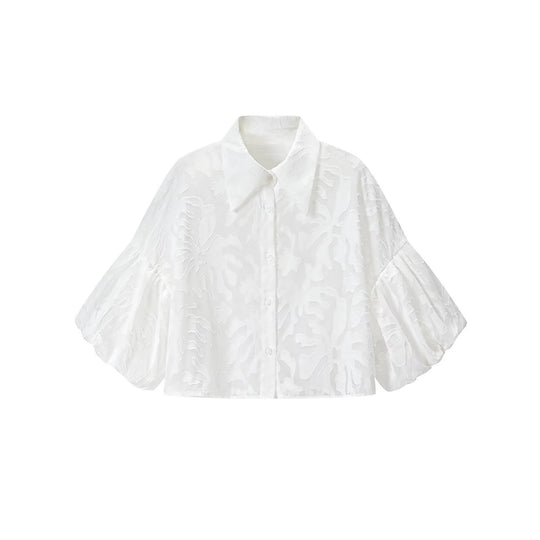 Damen Transparente Organza-Bluse mit weitem Schnitt, Volumenärmeln und Hemdkragen Nord Taschen