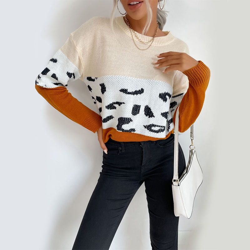 Damen Boxy-Strickpullover im Colorblock-Leopardmix mit Rundhals und gerippten Ärmeln Nord Taschen