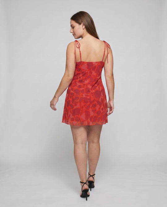 Product 15613818503498 - back_view